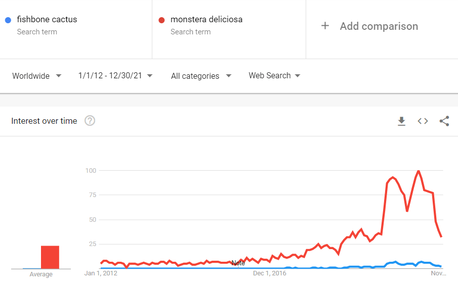 Új monstera keresése