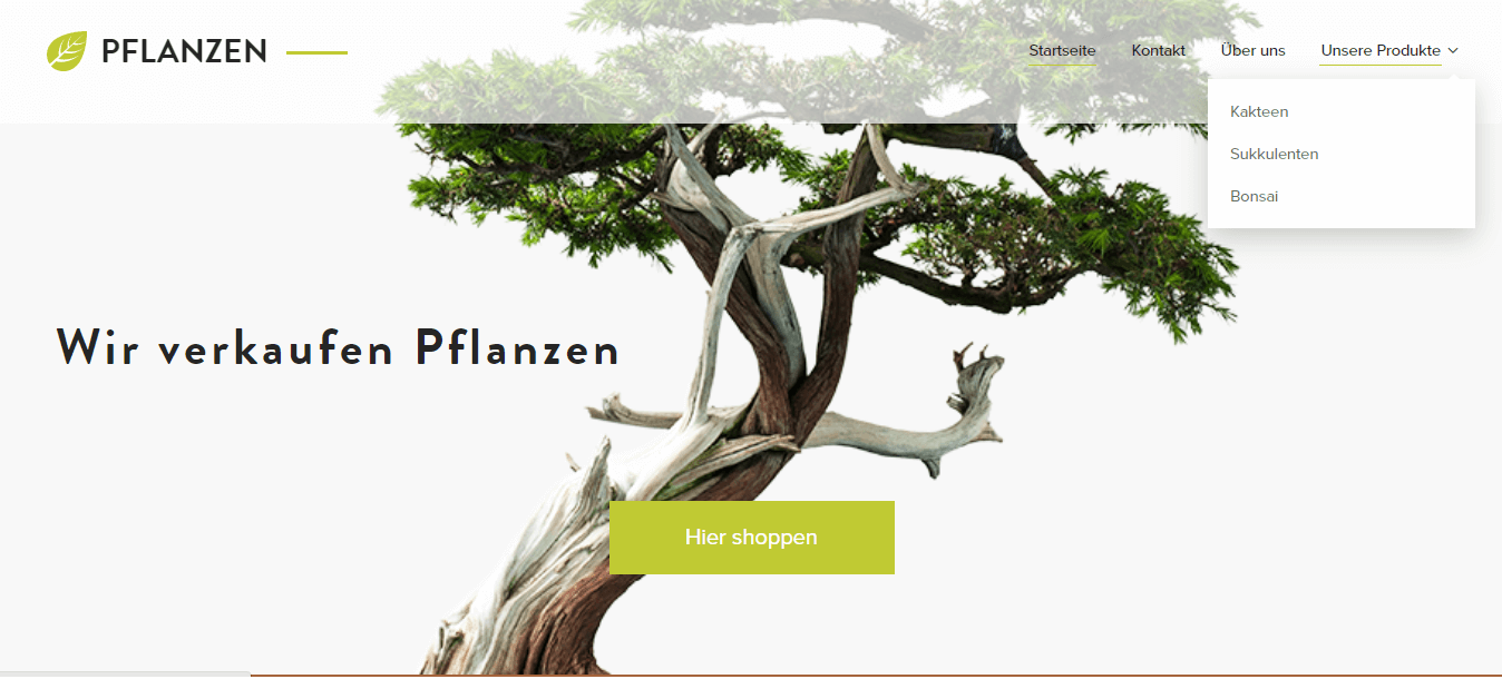 Ein Beispiel für eine nicht ganz so klare Website-Navigation