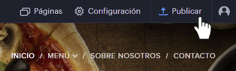 10-publicar-web