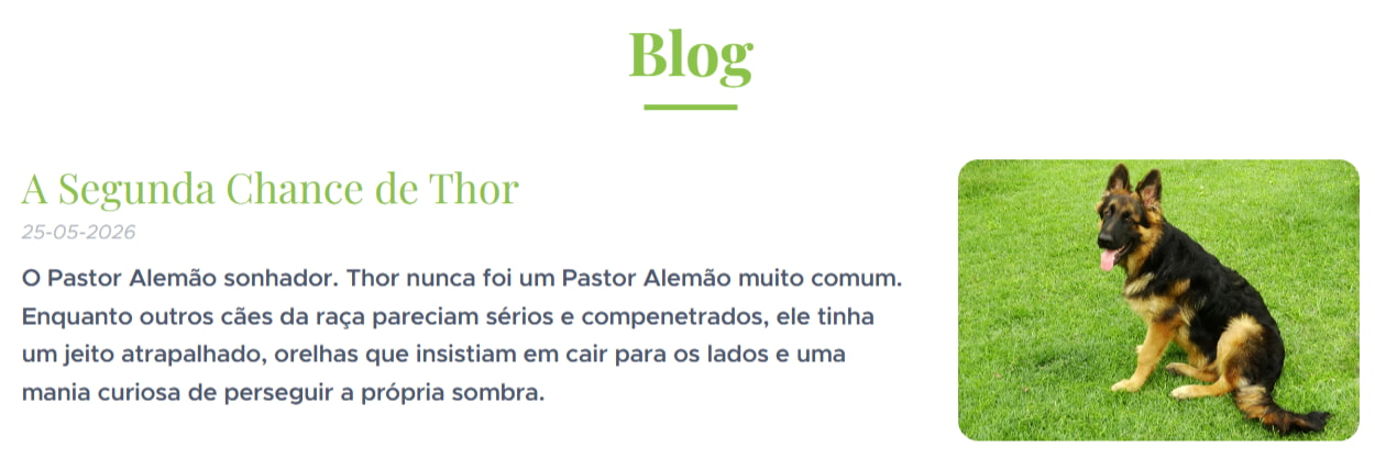 Exemplo de snippet de artigo de blog gerado pelo Assistente de IA da Webnode