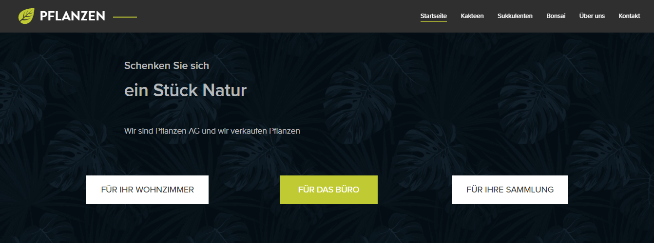 Ein Beispiel für eine klare Call-to-Action-Schaltfläche