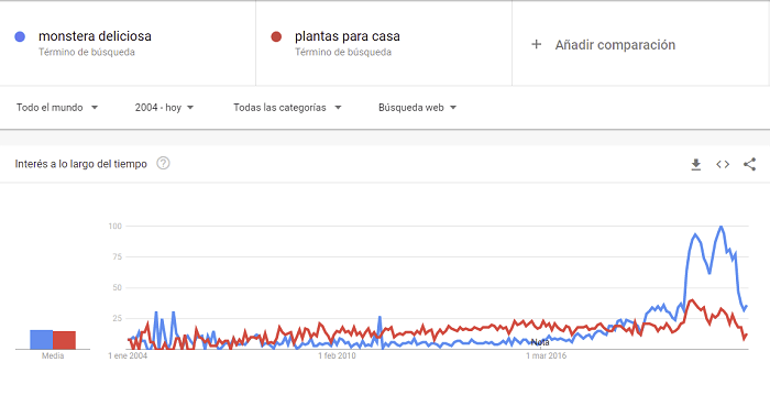 Google trends plantas de interior