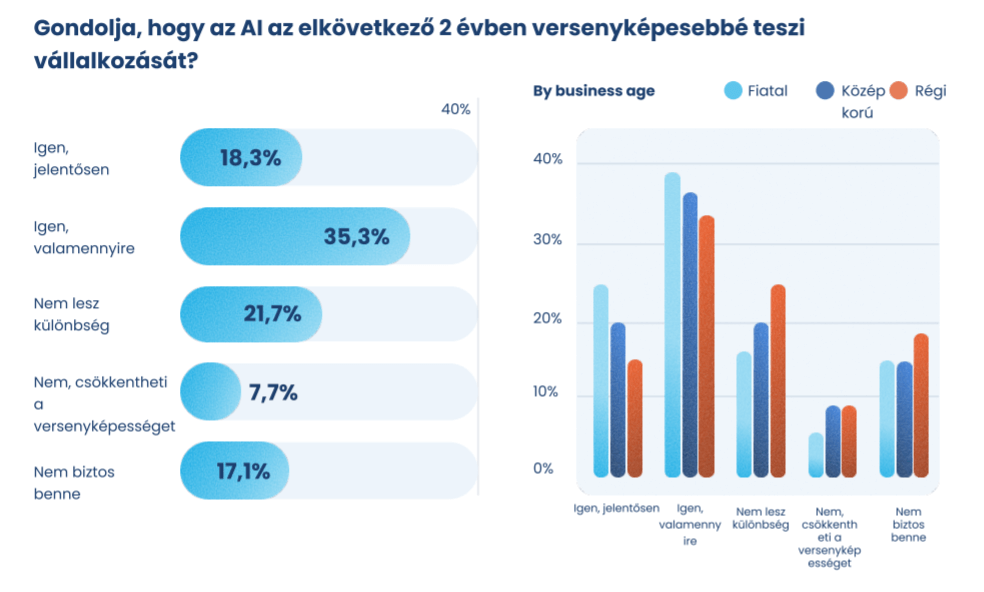 A kép azon válaszadók arányát mutatja, akik szerint az AI versenyelőnyt biztosít számukra a következő 2 évben.