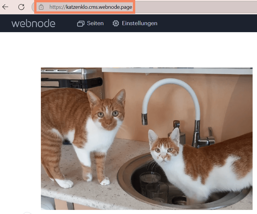 Auftreten der Subdomain im Webnode CMS