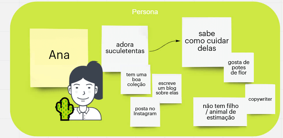 A Persona represente o cliente padrão da loja online