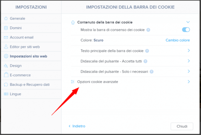 Webnode Impostazioni avanzate dei cookies