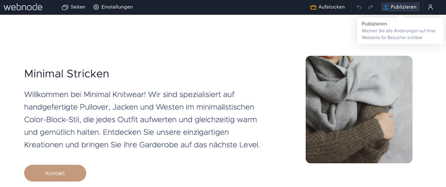 Website publizieren