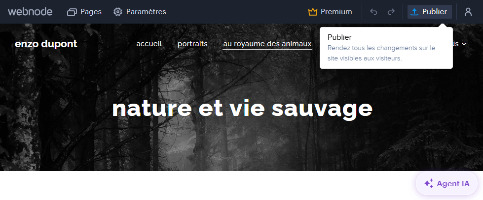 Une image montrant un site Webnode prêt à être publié. Il ne faut que quelques secondes pour créer et publier votre site.