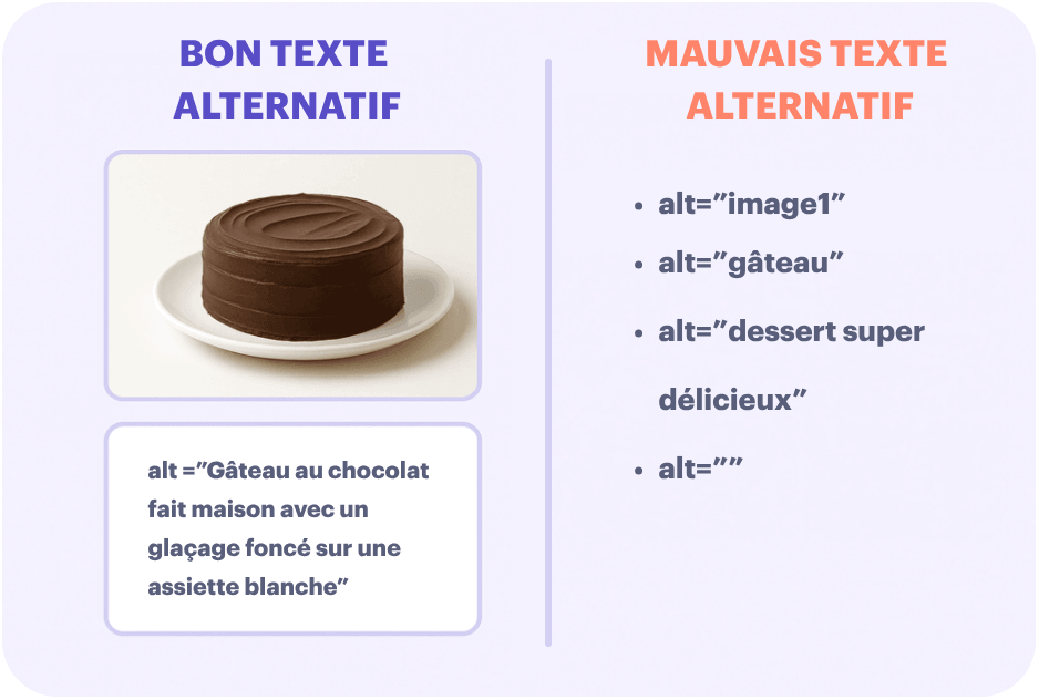 Exemple de texte alternatif pertinent et d'un texte alternatif à éviter pour une image