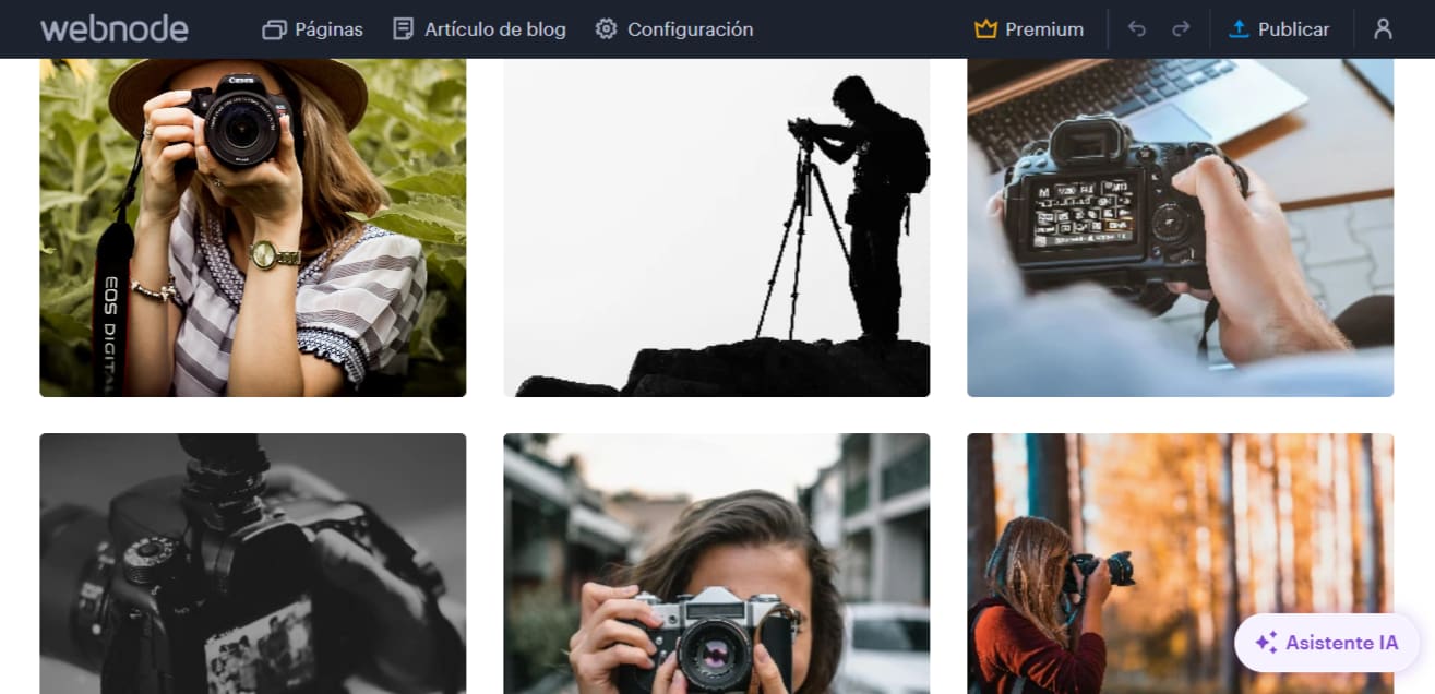 Ejemplo de un portfolio de fotografía online creado con Webnode