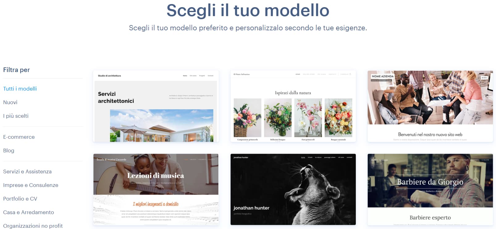 Modelli e categorie di Webnode