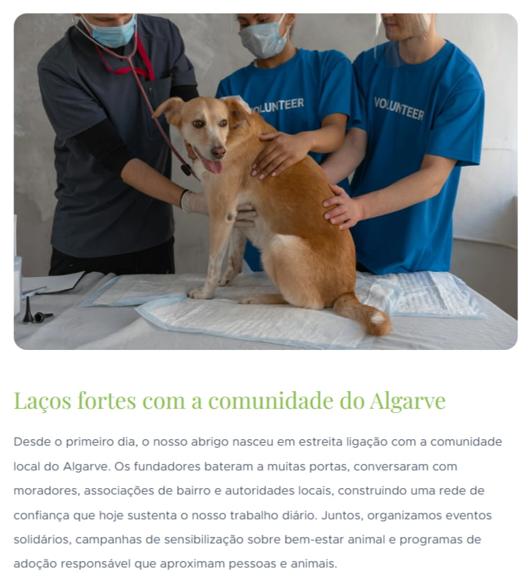 Exemplo de site fictício de abrigo de cães criado com o Assistente de IA da Webnode