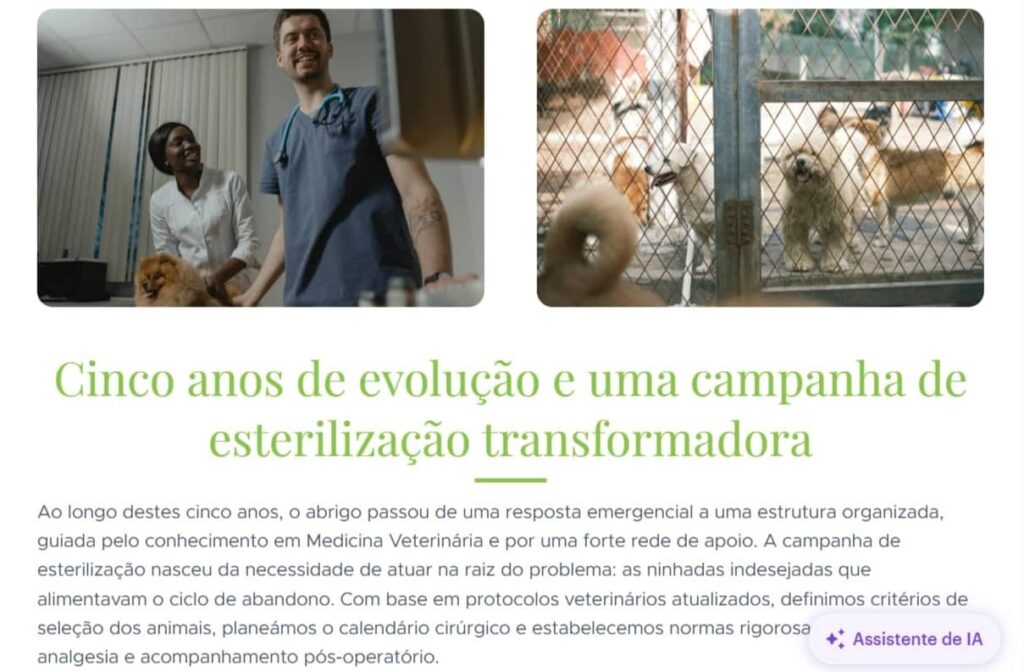 Exemplo de página “Sobre nós” criada com o Assistente de IA da Webnode e imagem associada