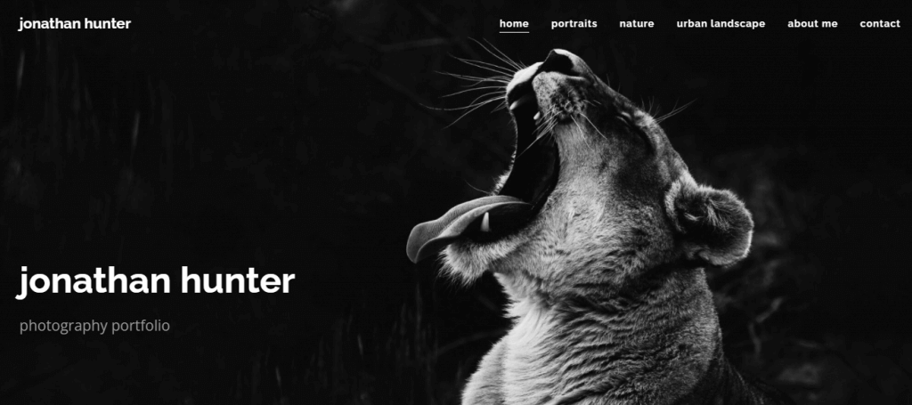 Un portfolio fotografico con categorie