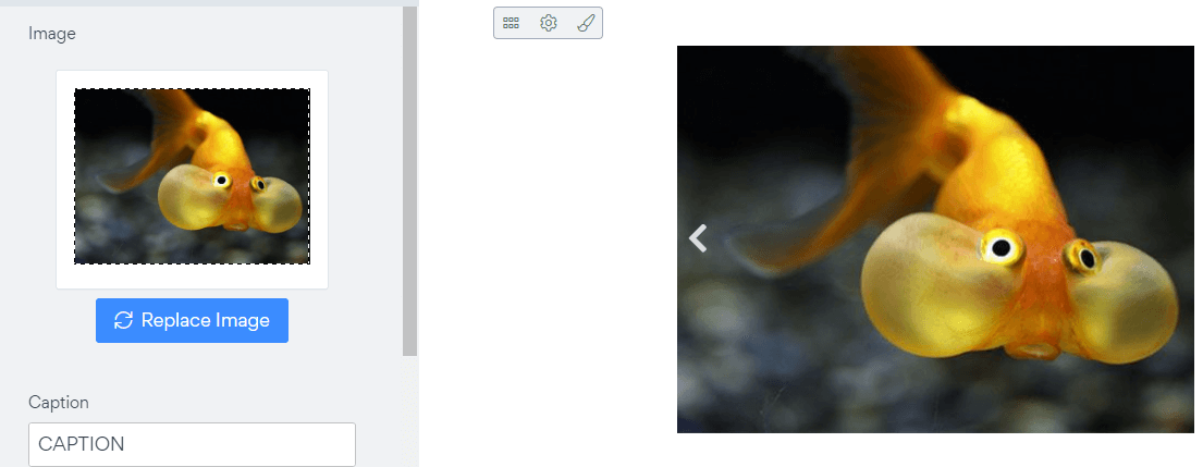 SlideShow editor