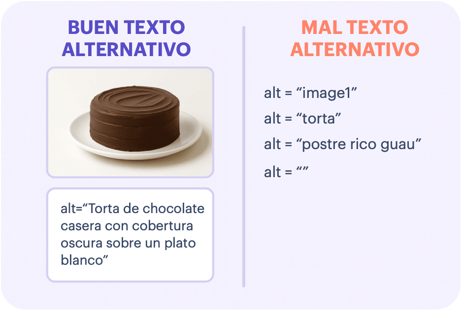 Ejemplo de un buen y un mal texto alternativo para una imagen