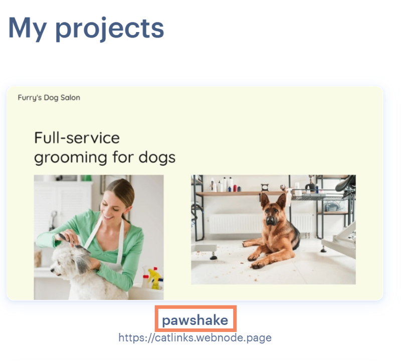 Difference between the website name and the Subdomain in Webnodes Project Overview